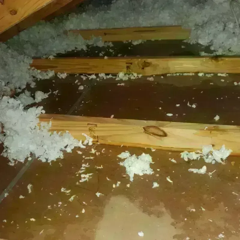 Attic Water Damage in Morris, OK