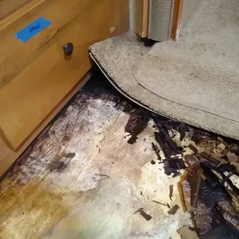 Wood Floor Water Damage in Morris, OK